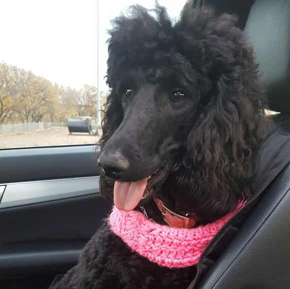 Meet the Posher - Picture 2 of 4